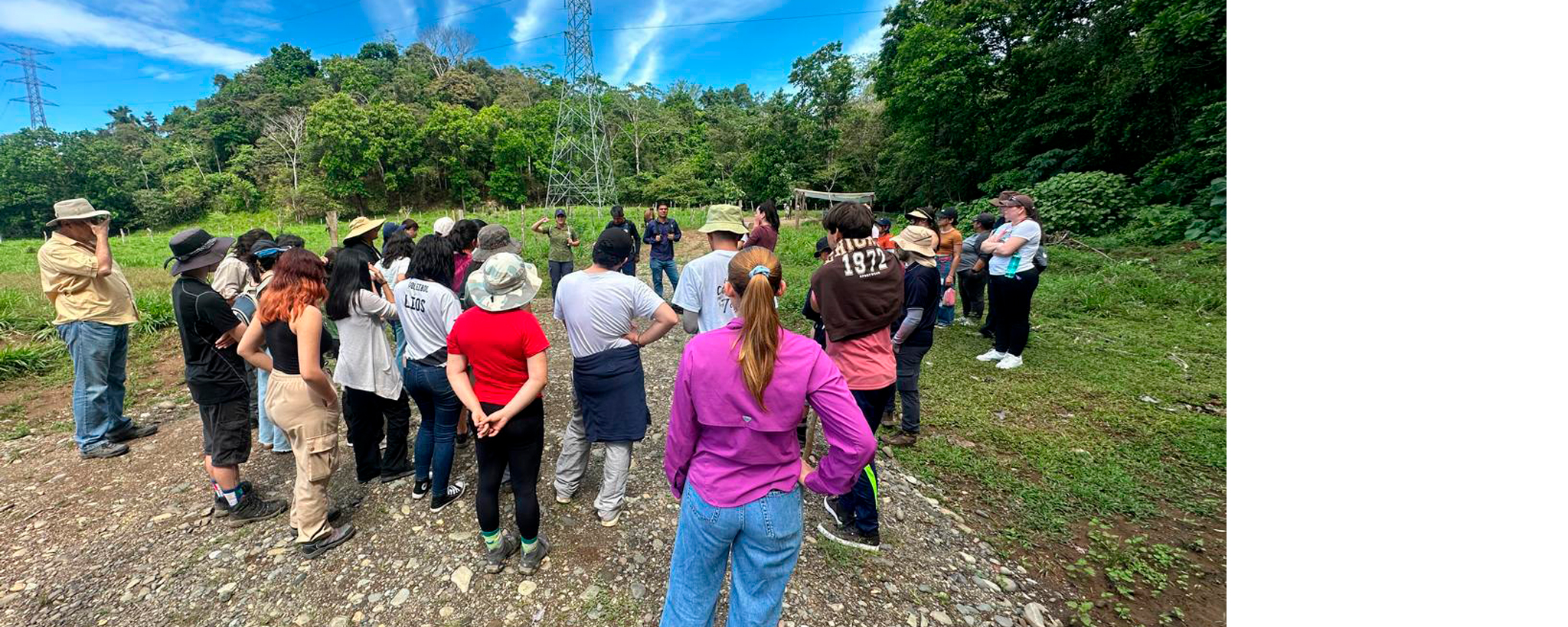 Proceso de Inducción 2026